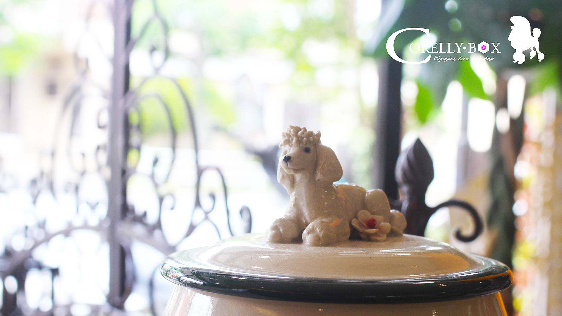 ブログスタートします